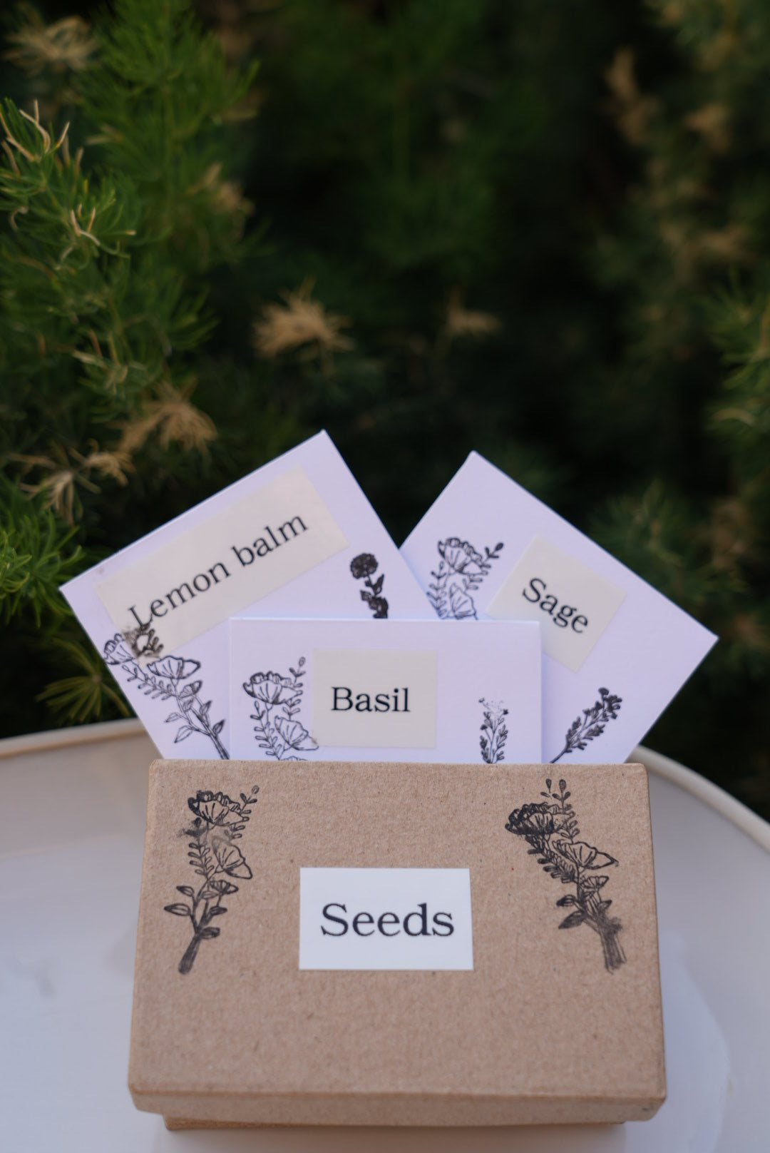 Planting Seeds