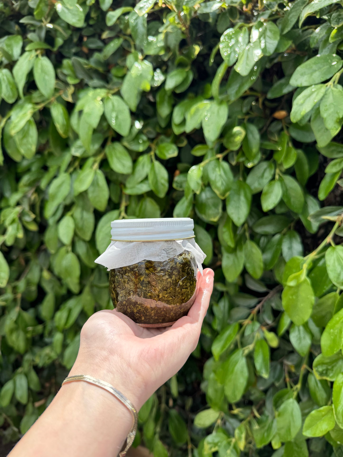 Herbal Salve